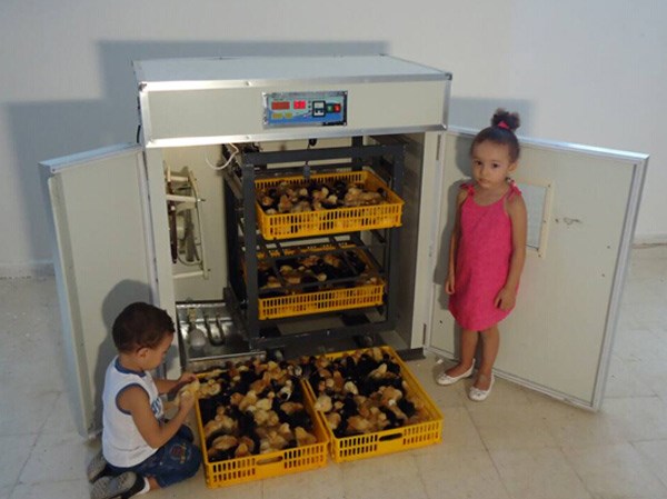 máy ấp trứng nhập khẩu kn-1584 hình 0 may ap trung nhap khau kn-1584 hinh 0
