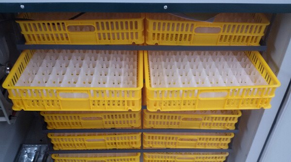 máy ấp trứng nhập khẩu kn-1584 hình 1 may ap trung nhap khau kn-1584 hinh 1
